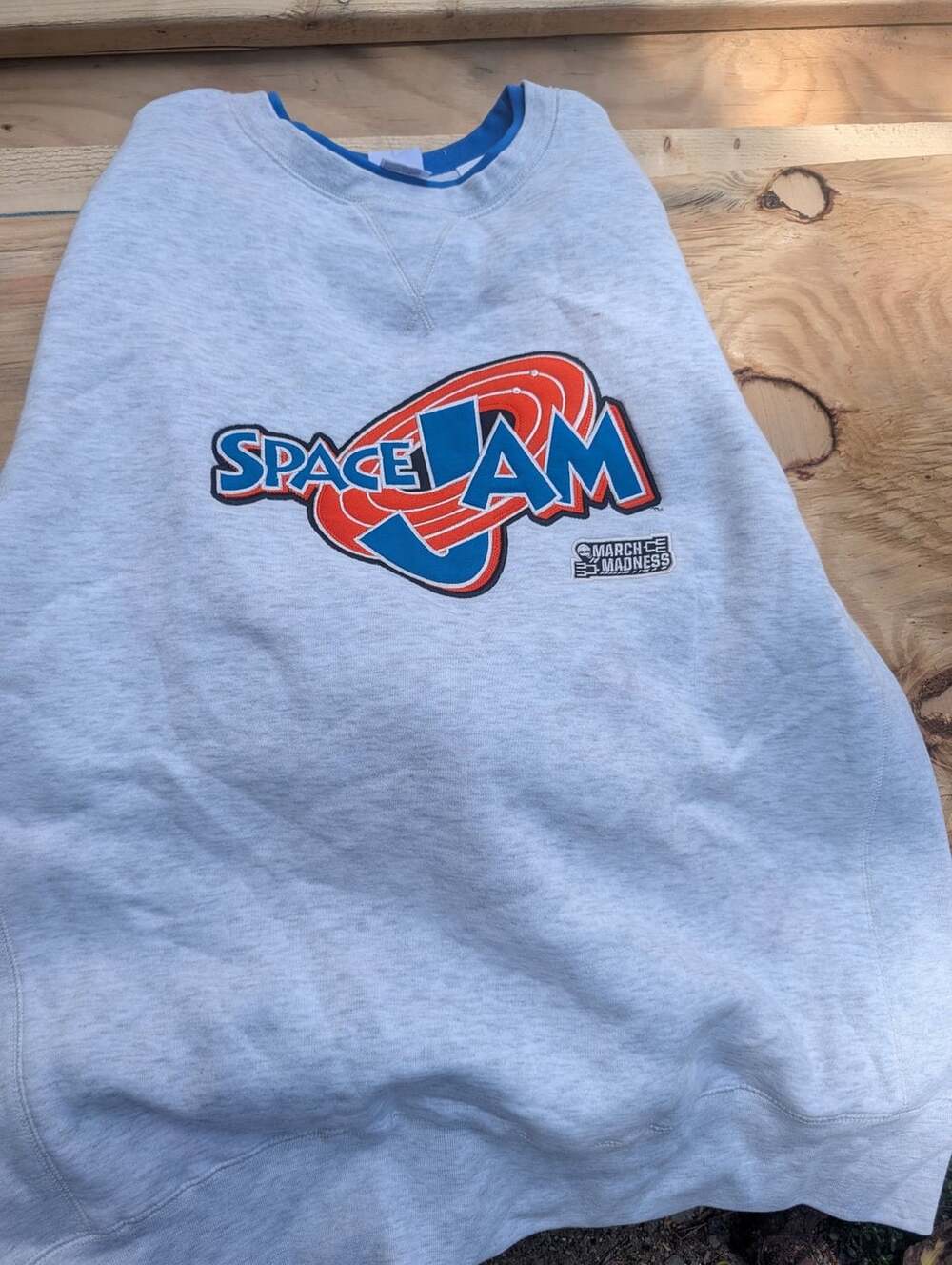 Champion Space Jam Sweatshirt Grey
